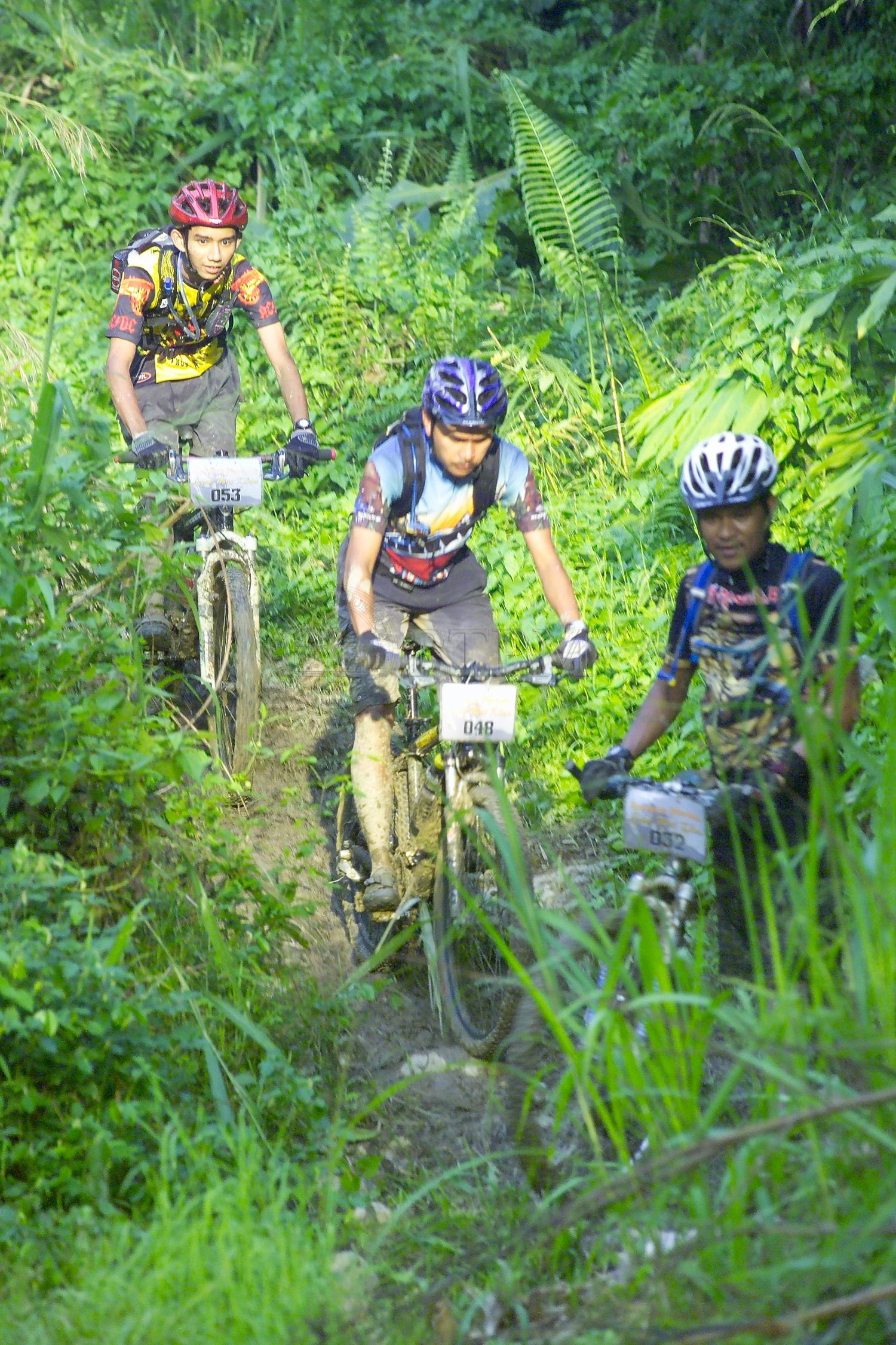 PTPM 06 31 kilau D9X44257